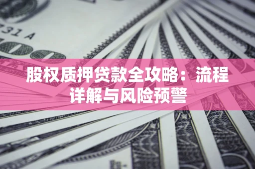 北京股权质押贷款全攻略：流程详解与风险预警