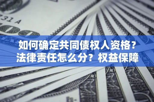 北京如何确定共同债权人资格？法律责任怎么分？权益保障技巧揭秘！