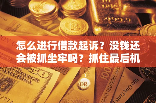 北京怎么进行借款起诉？没钱还会被抓坐牢吗？抓住最后机会！