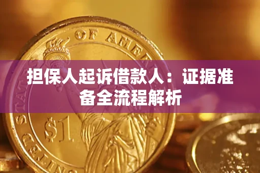 北京担保人起诉借款人：证据准备全流程解析