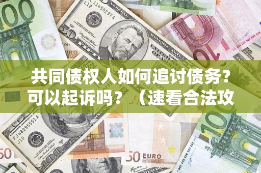 北京共同债权人如何追讨债务？可以起诉吗？（速看合法攻略）